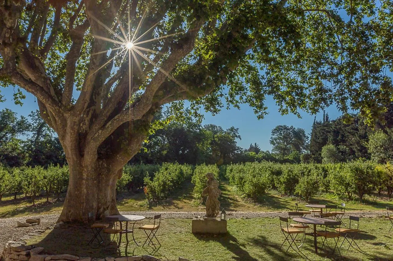Mas De Capelou Bed & Breakfast Avignon France